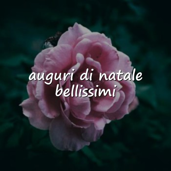 auguri di natale bellissimi - 2026