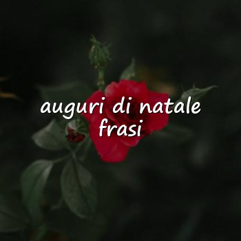 auguri di natale frasi - 2026