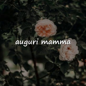 auguri mamma - 2026