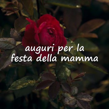 auguri per la festa della mamma - 2026
