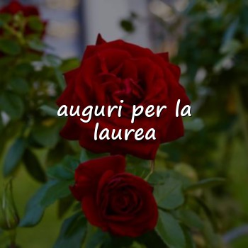 auguri per la laurea - 2026
