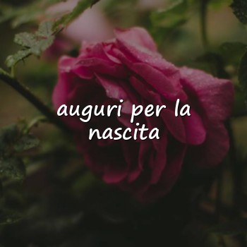 auguri per la nascita - 2026