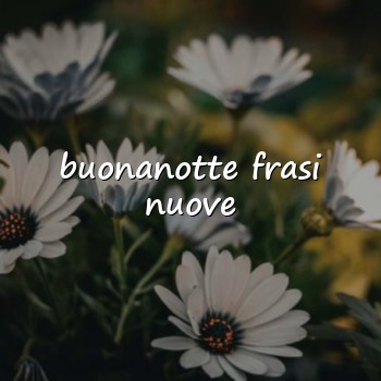 buonanotte frasi nuove - 2026