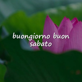 buongiorno buon sabato - 2026