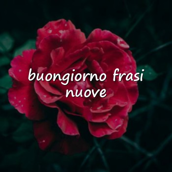 buongiorno frasi nuove - 2026