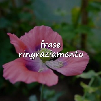 frase ringraziamento - 2026