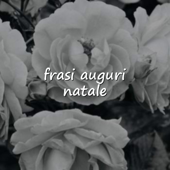 frasi auguri natale - 2026