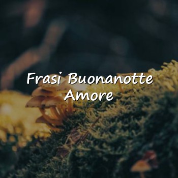 Frasi Buonanotte Amore - 2026