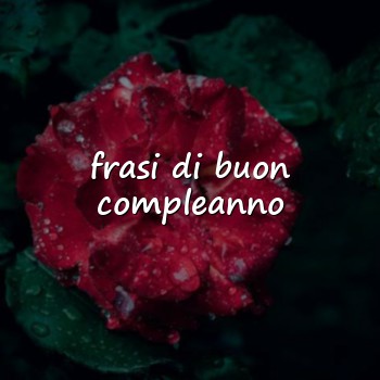 frasi di buon compleanno - 2026