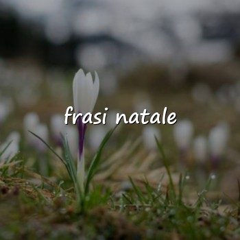 frasi natale - 2026