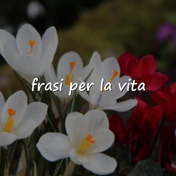 frasi per la vita - 2026