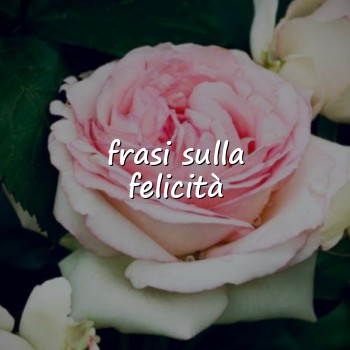 frasi sulla felicità - 2026